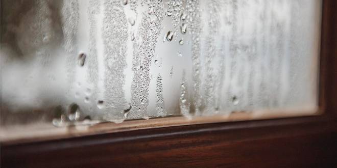 Home's Humidity Levels